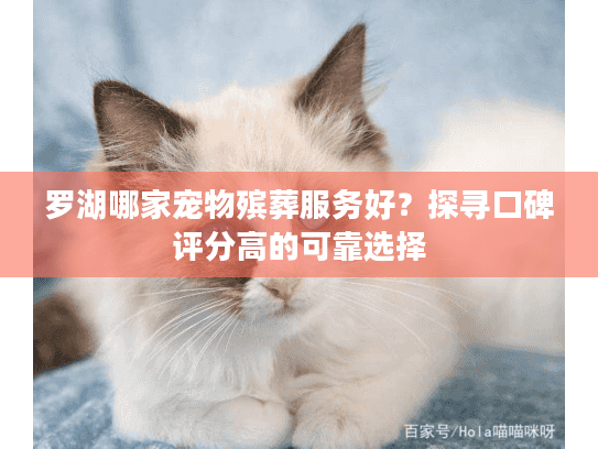 罗湖哪家宠物殡葬服务好?探寻口碑评分高的可靠选择 罗湖哪家宠物殡葬服务好?探寻口碑评分高的可靠选择
