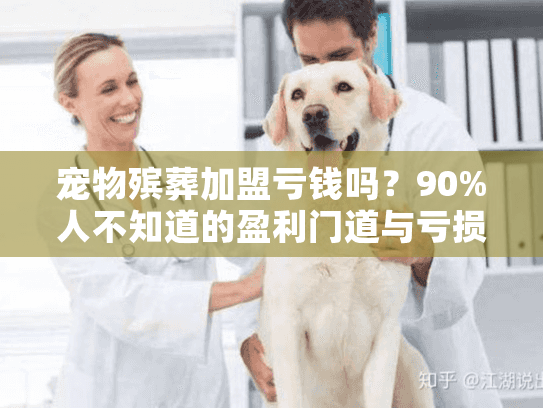 宠物殡葬加盟亏钱吗？90%人不知道的盈利门道与亏损雷区