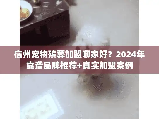 宿州宠物殡葬加盟哪家好？2024年靠谱品牌推荐+真实加盟案例