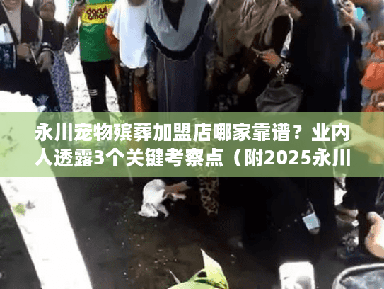 永川宠物殡葬加盟店哪家靠谱？业内人透露3个关键考察点（附2025永川真实用户反馈）