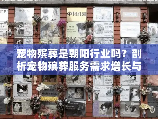 宠物殡葬是朝阳行业吗？剖析宠物殡葬服务需求增长与投资潜力