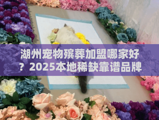 湖州宠物殡葬加盟哪家好?2025本地稀缺靠谱品牌实战测评 湖州宠物殡葬加盟哪家好?2025本地稀缺靠谱品牌实战测评