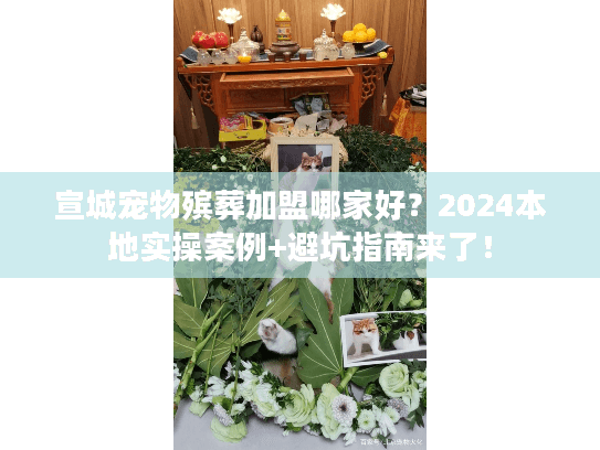 宣城宠物殡葬加盟哪家好？2024本地实操案例+避坑指南来了！
