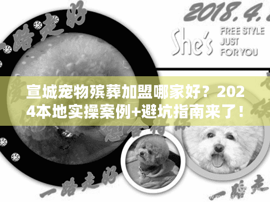 宣城宠物殡葬加盟哪家好？2024本地实操案例+避坑指南来了！