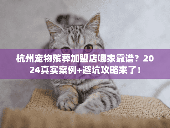 杭州宠物殡葬加盟店哪家靠谱?2024真实案例+避坑攻略来了! 杭州宠物殡葬加盟店哪家靠谱?2024真实案例+避坑攻略来了!