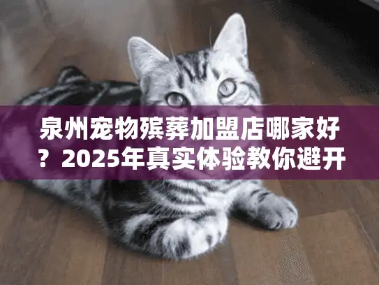 泉州宠物殡葬加盟店哪家好？2025年真实体验教你避开黑心店