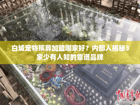 白城宠物殡葬加盟哪家好？内部人揭秘3家少有人知的靠谱品牌
