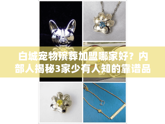 白城宠物殡葬加盟哪家好？内部人揭秘3家少有人知的靠谱品牌