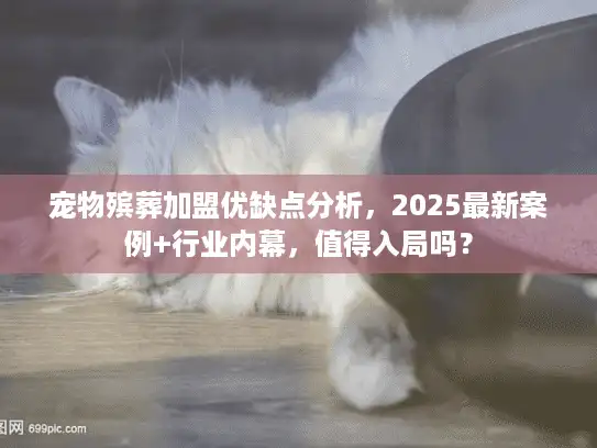 宠物殡葬加盟优缺点分析，2025最新案例+行业内幕，值得入局吗？