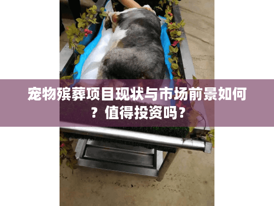 宠物殡葬项目现状与市场前景如何？值得投资吗？