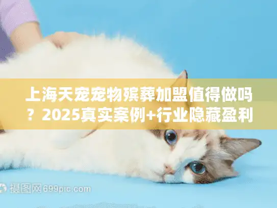 上海天宠宠物殡葬加盟值得做吗？2025真实案例+行业隐藏盈利点揭秘