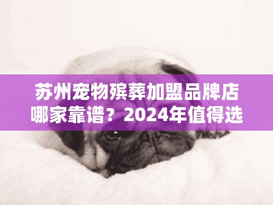 苏州宠物殡葬加盟品牌店哪家靠谱?2024年值得选的3个稀缺优质品牌揭秘 苏州宠物殡葬加盟品牌店哪家靠谱?2024年值得选的3个稀缺优质品牌揭秘