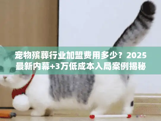 宠物殡葬行业加盟费用多少？2025最新内幕+3万低成本入局案例揭秘