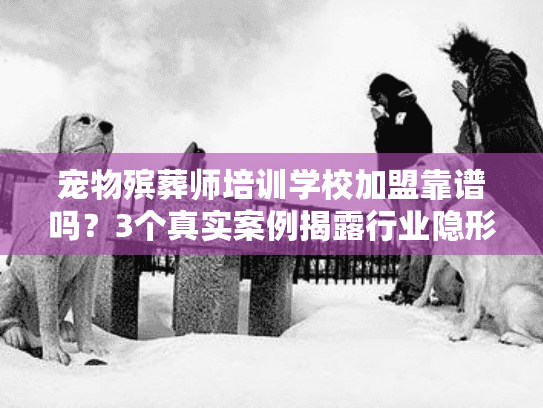 宠物殡葬师培训学校加盟靠谱吗？3个真实案例揭露行业隐形门槛与盈利真相