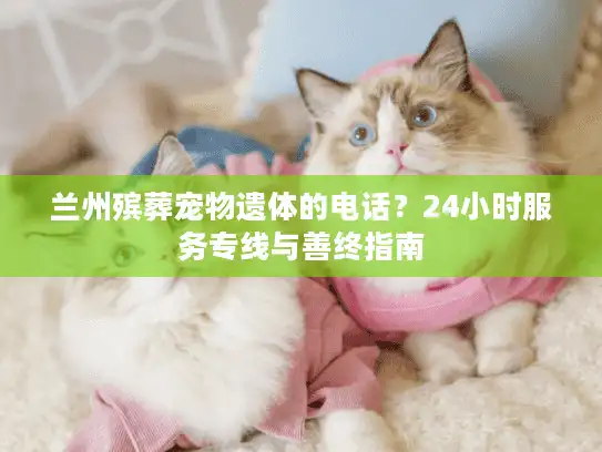 兰州殡葬宠物遗体的电话？24小时服务专线与善终指南