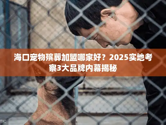 海口宠物殡葬加盟哪家好？2025实地考察3大品牌内幕揭秘