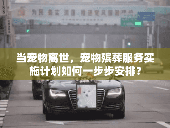 当宠物离世，宠物殡葬服务实施计划如何一步步安排？