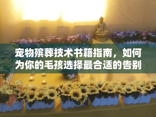 宠物殡葬技术书籍指南，如何为你的毛孩选择最合适的告别方式