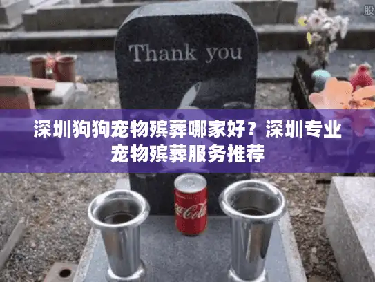 深圳狗狗宠物殡葬哪家好？深圳专业宠物殡葬服务推荐
