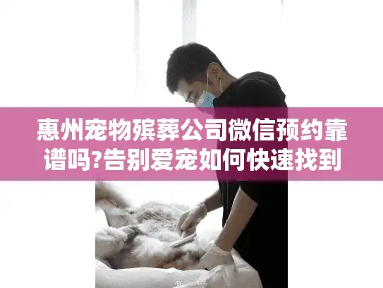 惠州宠物殡葬公司微信预约靠谱吗?告别爱宠如何快速找到温暖服务 惠州宠物殡葬公司微信预约靠谱吗?告别爱宠如何快速找到温暖服务