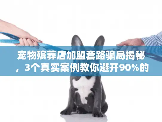 宠物殡葬店加盟套路骗局揭秘，3个真实案例教你避开90%的坑！