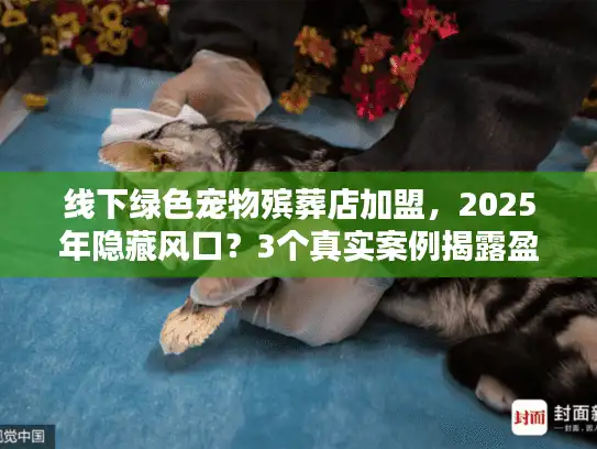 线下绿色宠物殡葬店加盟，2025年隐藏风口？3个真实案例揭露盈利逻辑！