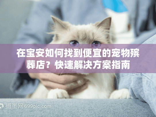 在宝安如何找到便宜的宠物殡葬店？快速解决方案指南