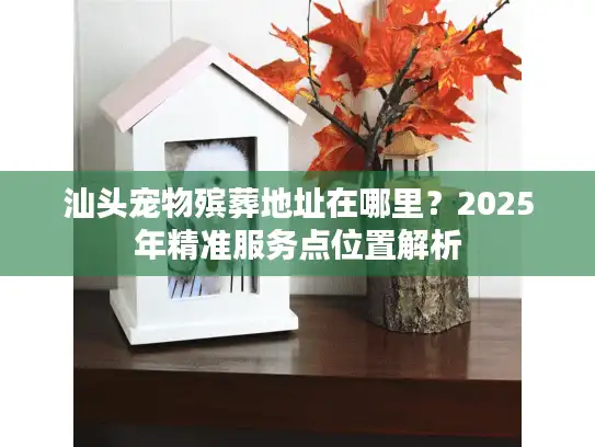 汕头宠物殡葬地址在哪里?2025年精准服务点位置解析 汕头宠物殡葬地址在哪里?2025年精准服务点位置解析