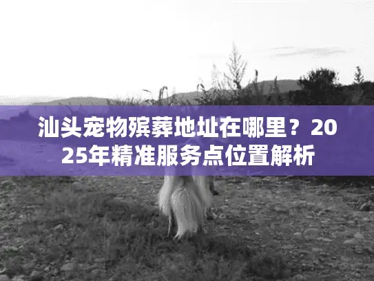 汕头宠物殡葬地址在哪里?2025年精准服务点位置解析 汕头宠物殡葬地址在哪里?2025年精准服务点位置解析