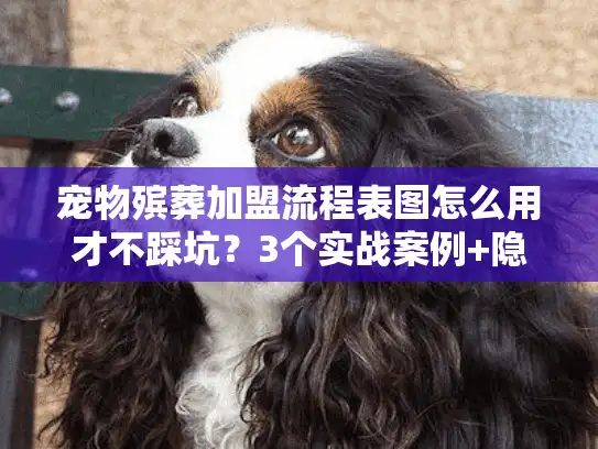 宠物殡葬加盟流程表图怎么用才不踩坑？3个实战案例+隐藏门道大揭秘