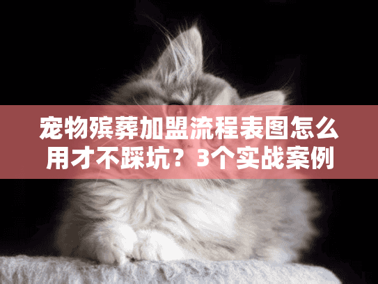 宠物殡葬加盟流程表图怎么用才不踩坑？3个实战案例+隐藏门道大揭秘