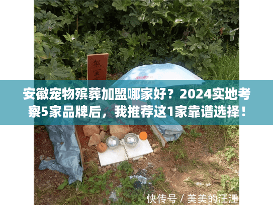 安徽宠物殡葬加盟哪家好？2024实地考察5家品牌后，我推荐这1家靠谱选择！