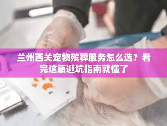 兰州西关宠物殡葬服务怎么选？看完这篇避坑指南就懂了