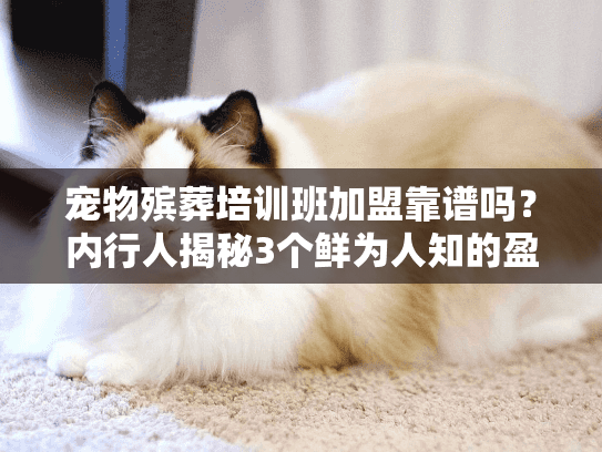 宠物殡葬培训班加盟靠谱吗?内行人揭秘3个鲜为人知的盈利真相+1个必避深坑 宠物殡葬培训班加盟靠谱吗?内行人揭秘3个鲜为人知的盈利真相+1个必避深坑