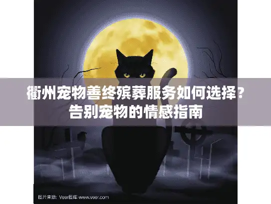 衢州宠物善终殡葬服务如何选择？告别宠物的情感指南