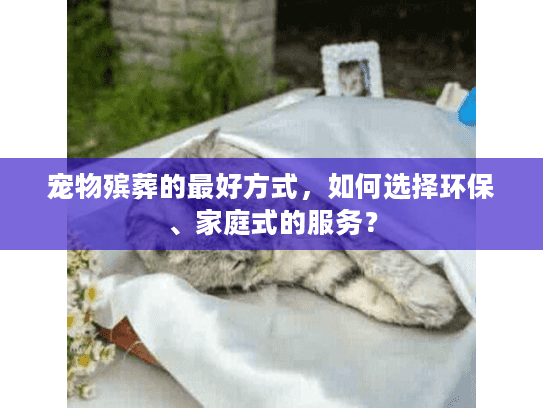 宠物殡葬的最好方式，如何选择环保、家庭式的服务？
