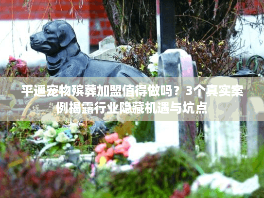 平遥宠物殡葬加盟值得做吗？3个真实案例揭露行业隐藏机遇与坑点