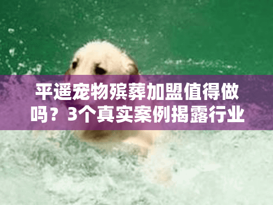 平遥宠物殡葬加盟值得做吗？3个真实案例揭露行业隐藏机遇与坑点