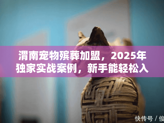 渭南宠物殡葬加盟，2025年独家实战案例，新手能轻松入行吗？