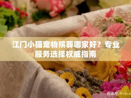 江门小猫宠物殡葬哪家好？专业服务选择权威指南