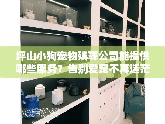 坪山小狗宠物殡葬公司能提供哪些服务？告别爱宠不再迷茫