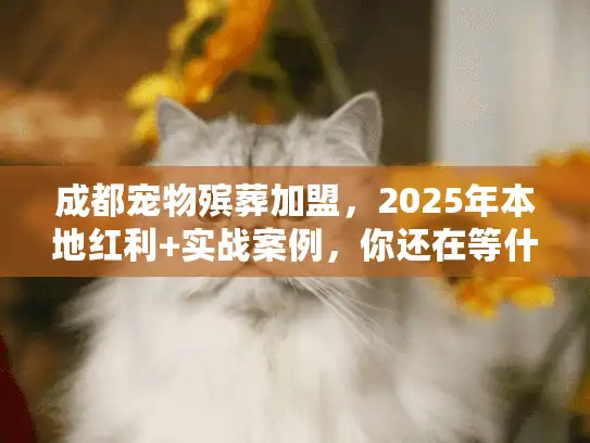 成都宠物殡葬加盟，2025年本地红利+实战案例，你还在等什么？