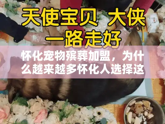 怀化宠物殡葬加盟，为什么越来越多怀化人选择这个小成本项目？内行人透露5个真相！