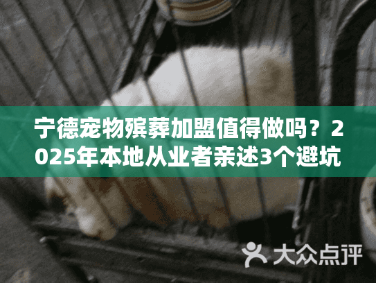 宁德宠物殡葬加盟值得做吗？2025年本地从业者亲述3个避坑要点