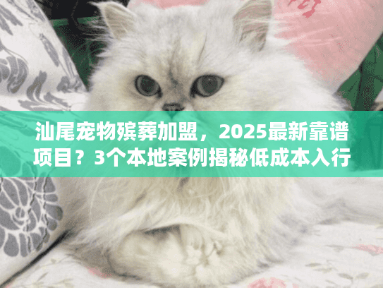 汕尾宠物殡葬加盟，2025最新靠谱项目？3个本地案例揭秘低成本入行门道