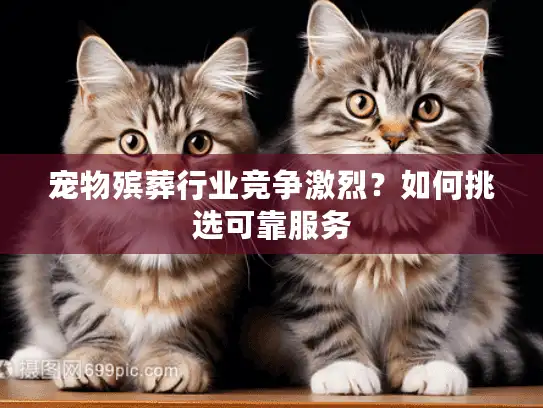 宠物殡葬行业竞争激烈?如何挑选可靠服务 宠物殡葬行业竞争激烈?如何挑选可靠服务