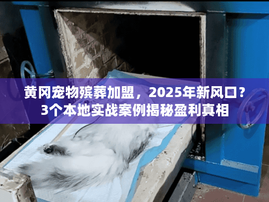 黄冈宠物殡葬加盟，2025年新风口？3个本地实战案例揭秘盈利真相