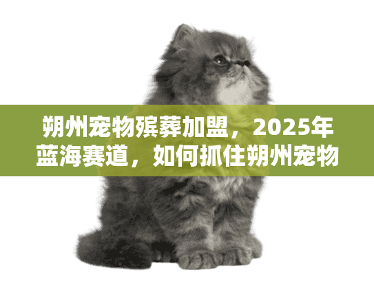 朔州宠物殡葬加盟，2025年蓝海赛道，如何抓住朔州宠物身后事的黄金商机？