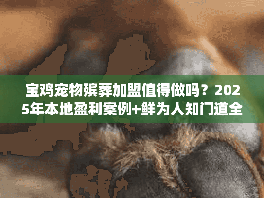 宝鸡宠物殡葬加盟值得做吗？2025年本地盈利案例+鲜为人知门道全揭秘