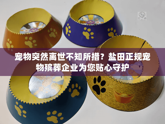 宠物突然离世不知所措？盐田正规宠物殡葬企业为您贴心守护